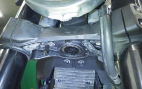 DUCATI スクRANブラ-アイコン 2015