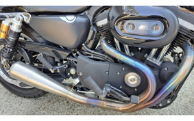 HARLEY XL883R 2011 CS2