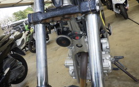 YAMAHA TRICKER DG10J