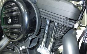 HARLEY XL1200NS 2019