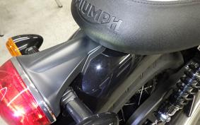 TRIUMPH BONNEVILLE T100 2024