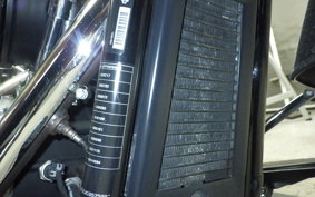 HARLEY FLSL 1750 2019