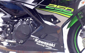 KAWASAKI NINJA 250 EX250P