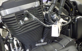 HARLEY XL883N 2019