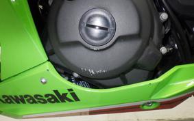KAWASAKI NINJA 250 2 2003 EX250Y