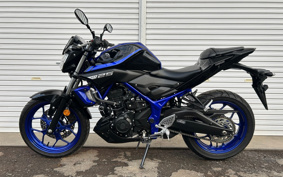 YAMAHA MT-25 RG43J
