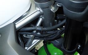 KAWASAKI ZX-4RR 2024 ZX400P