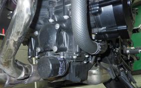 KAWASAKI Z900RS 2024 ZR900K