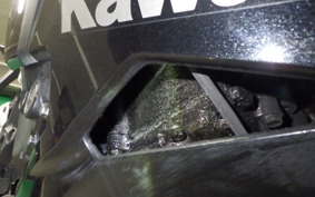 KAWASAKI ZX-25R 2021 ZX250E