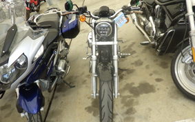 HARLEY XL883LI