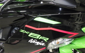 KAWASAKI NINJA ZX-6R A 2021 ZX636G