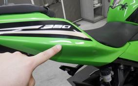 KAWASAKI NINJA 250 2 EX250P