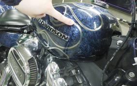 HARLEY FXBRS1870 2019