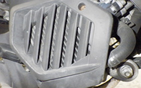 HONDA TACT-4ﾍﾞｰｼｯｸ 2019 AF75