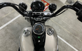 HARLEY HARLEY FLHC1340 2019 YAJ