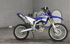 YAMAHA WR250R DG15J