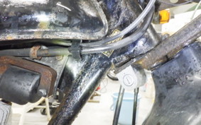 HONDA R&amp;P CY50