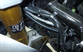 BMW G310GS 2023
