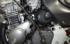 HONDA HORNET 250 MC31