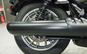 HARLEY RH975S 2024