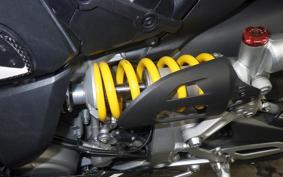DUCATI 1299 PANIGALE 2015