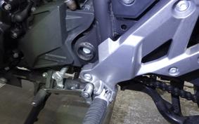SUZUKI V-STROM 250 A 2010