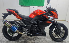 KAWASAKI Z250 ER250C
