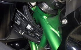 KAWASAKI ZH2 2020 ZRT00K