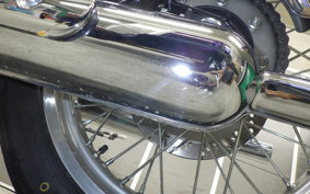 KAWASAKI W800 2024 EJ800E