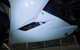 KAWASAKI NINJA 250 EX250L