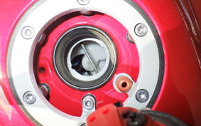 TRIUMPH TIGER800XCA(ショ