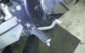 KAWASAKI ZEPHYR 750 2021 ZR750C