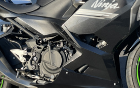 KAWASAKI NINJA 250 EX250P