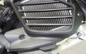 YAMAHA CYGNUSｸﾞﾘﾌｧｽ 2019 SEJ4J