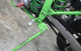 KAWASAKI KLX250 Gen.2 2019 LX250S