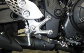 YAMAHA MT-25 A RG95J