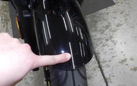 OTHER +ENFIELD ﾒﾃｵ350 2025