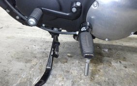 HARLEY XL883N 2021