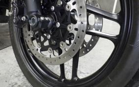 TRIUMPH TIGER 800 XR X 2019