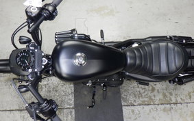 HARLEY XL883N 2020