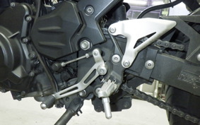 KAWASAKI Z250 Gen.2 1999 EX250P