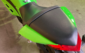 KAWASAKI NINJA 250 EX250L