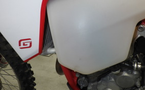 GASGAS EC 250 F 1991