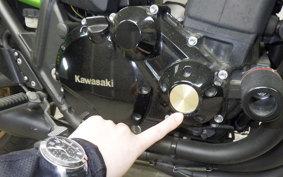 KAWASAKI ZRX1200 D 2015 ZRT20D