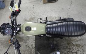 KAWASAKI W175 TR 2020