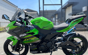KAWASAKI NINJA 400 2018 EX400G