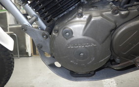 HONDA TLR250R 2007 MD18