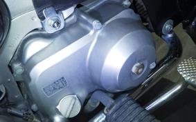 HONDA LITTLE CUB C50