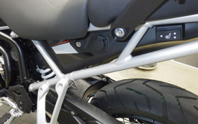 TRIUMPH TIGER 900 RALLY PRO 2024