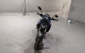 YAMAHA FZ25 RG42